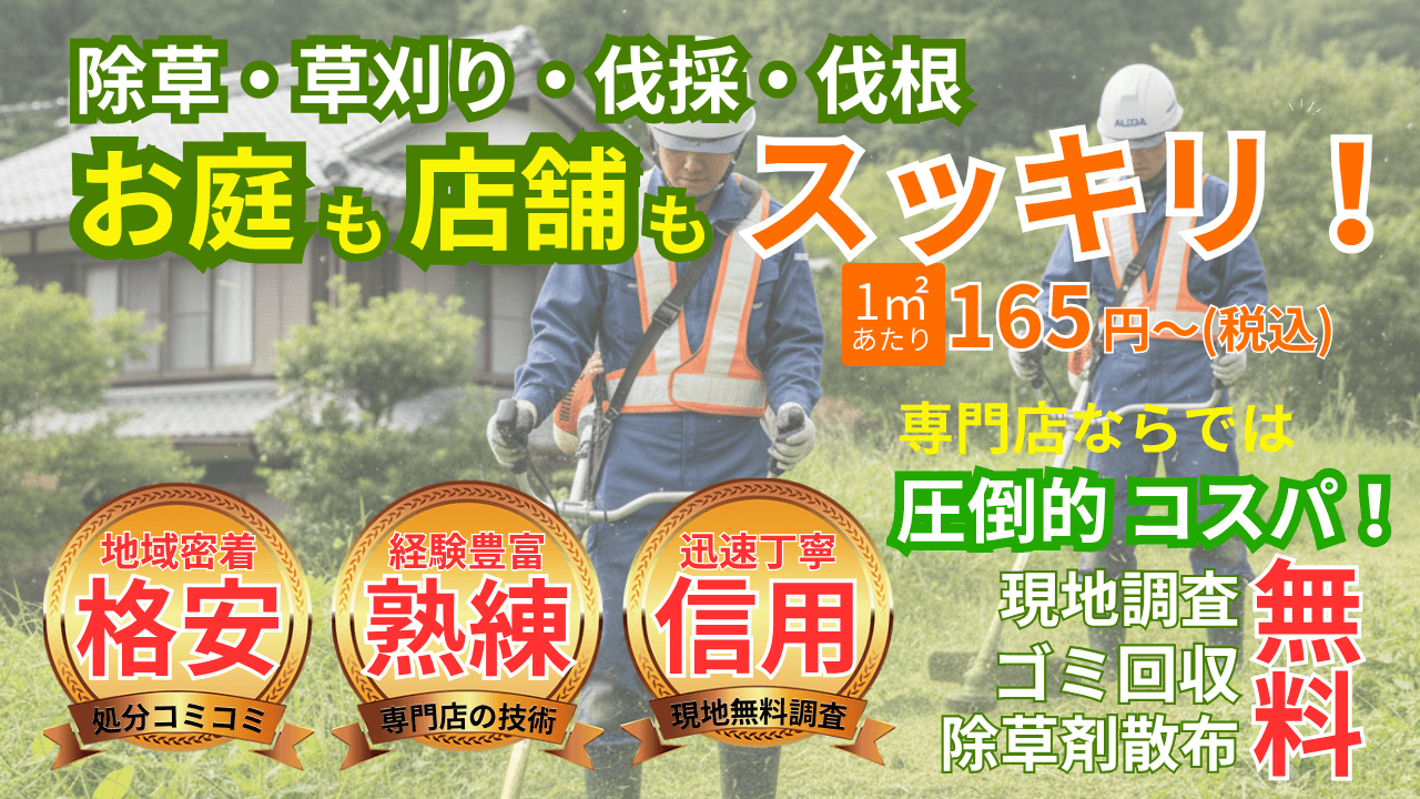 メインビジュアル